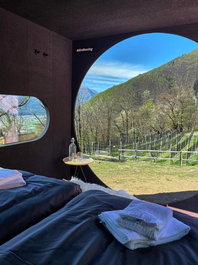 Birdbox Curzutt Hotell Monte Carasso Exteriör bild