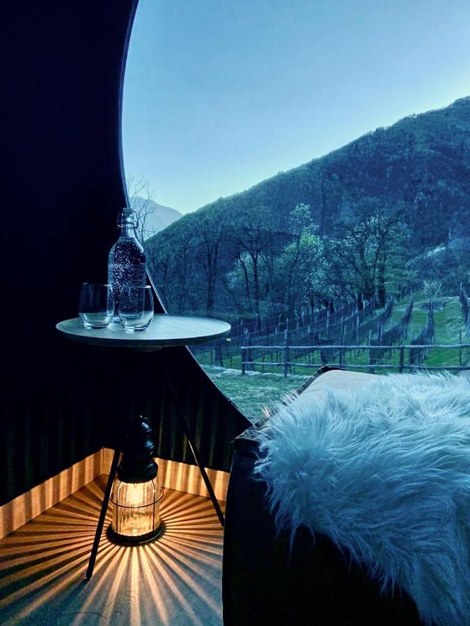 Birdbox Curzutt Hotell Monte Carasso Exteriör bild