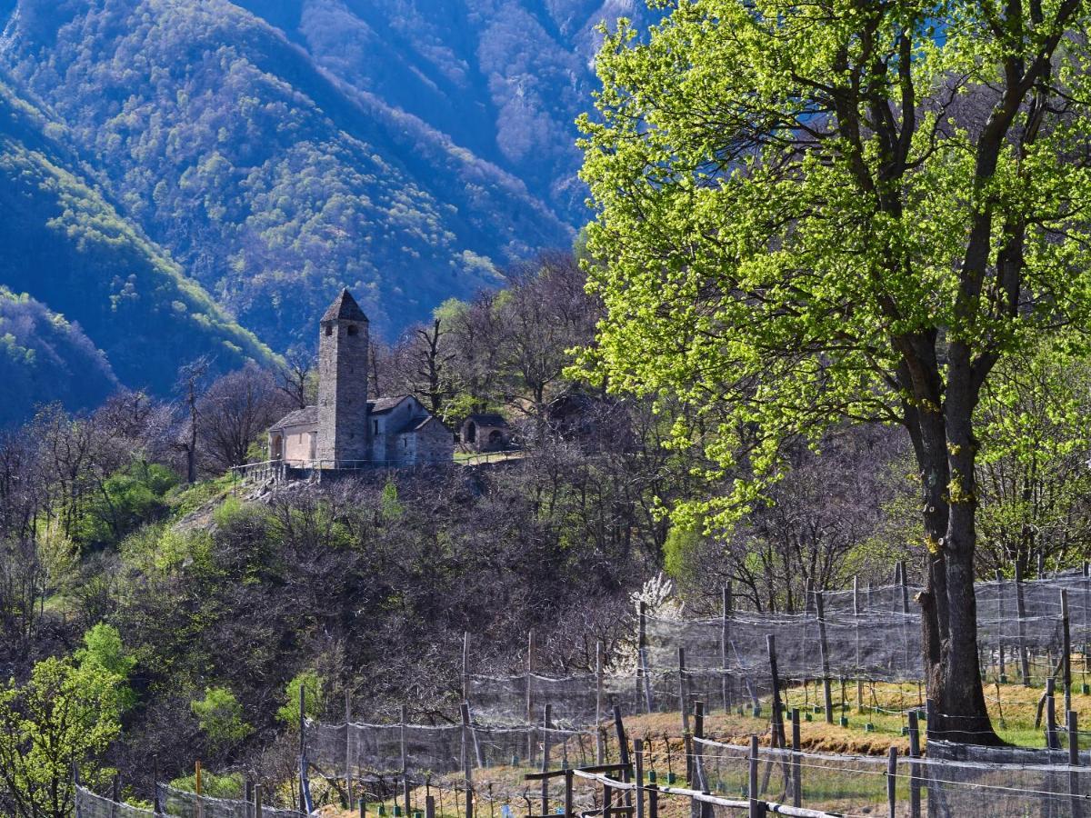 Birdbox Curzutt Hotell Monte Carasso Exteriör bild
