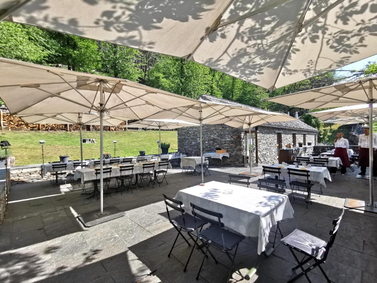 Birdbox Curzutt Hotell Monte Carasso Exteriör bild